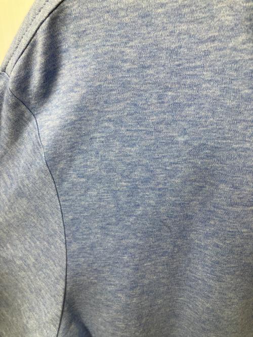 POLO RALPH LAUREN（ポロ・ラルフローレン）POLO RALPH LAUREN (ポロ・ラルフローレン) ポロシャツ カスタムスリムフィット ブルー ブルー サイズ:Lの古着・服飾アイテム