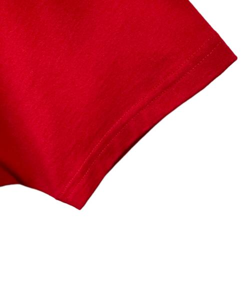AVIREX（アヴィレックス）AVIREX (アヴィレックス) SIGNATURE VARSITY LOGO T-SHIRT レッド サイズ:FREE 未使用品の古着・服飾アイテム