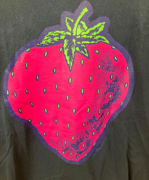 flagstuff（フラグスタフ）FLAGSTUFF (フラグスタフ) 長袖カットソー ネイビー ネイビー サイズ:Lの古着・服飾アイテム