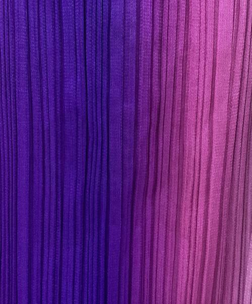 PLEATS PLEASE（プリーツプリーズ）PLEATS PLEASE (プリーツプリーズ) プリーツスカート パープル サイズ:1の古着・服飾アイテム