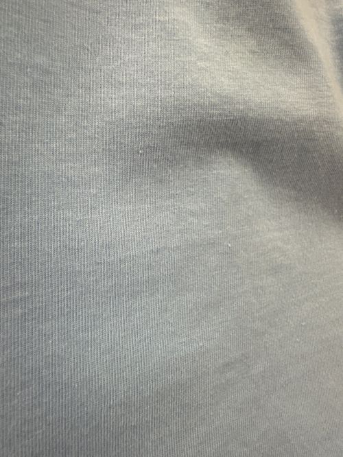 X-LARGE（エクストララージ）X-LARGE (エクストララージ) FR2 (ファッキングラビッツ) 色欲兎プリントTシャツ スカイブルー サイズ:XLの古着・服飾アイテム