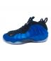 NIKE (ナイキ) AIR FOAMPOSITE ONE ブルー×ブラック サイズ:US10、UK9、EUR44、cm28、BR42、CN280(2.5)　 未使用品：22000円