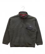 Patagoniaパタゴニア）の古着「25450　シンチラスナップTプルオーバー」｜グレー