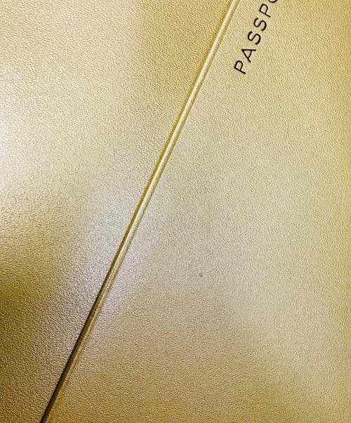 SMYTHSON（スマイソン）SMYTHSON (スマイソン) パスポートケース ゴールドの古着・服飾アイテム