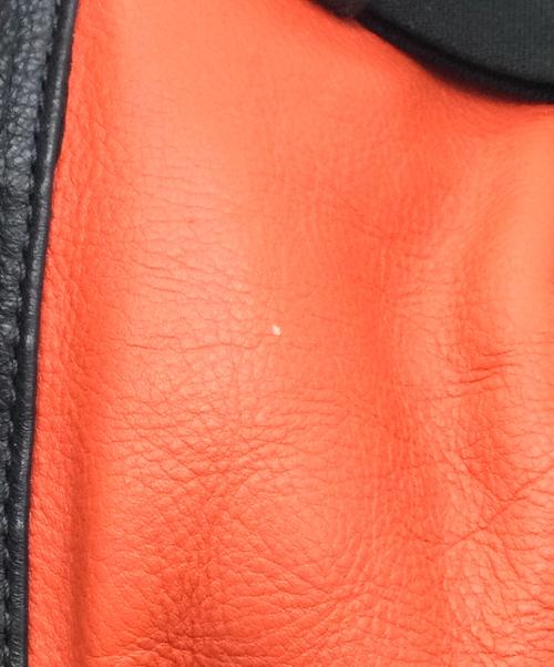 COACH（コーチ）COACH (コーチ) リュック ネイビー×レッドの古着・服飾アイテム