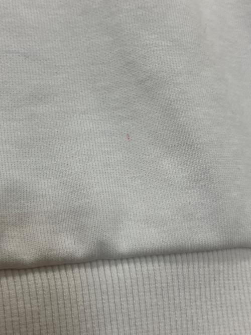 DIESEL（ディーゼル）DIESEL (ディーゼル) S-GINN-K28　スウェット ホワイト サイズ:XXLの古着・服飾アイテム