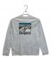 Patagonia (パタゴニア) 長袖カットソー スカイブルー サイズ:S：4000円