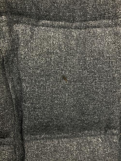 Eddie Bauer（エディーバウアー）Eddie Bauer (エディーバウアー) ダウンコート グレー サイズ:Sの古着・服飾アイテム