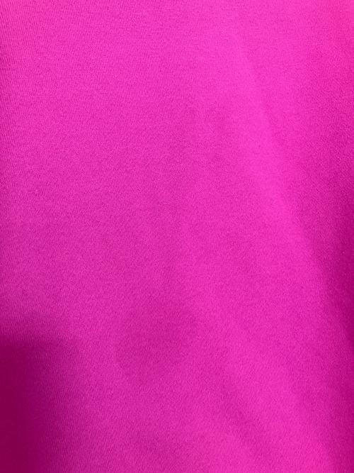 THE NORTH FACE（ザ ノース フェイス）THE NORTH FACE (ザ ノース フェイス) NT62216　スウェット ショッキングピンク サイズ:XXLの古着・服飾アイテム