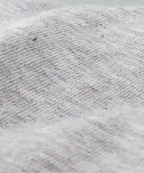 Champion（チャンピオン）Champion (チャンピオン) パーカー グレー サイズ:LARGEの古着・服飾アイテム