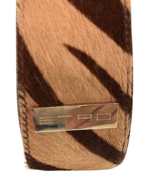 ETRO（エトロ）ETRO (エトロ) ショルダーバッグ ブラウンの古着・服飾アイテム