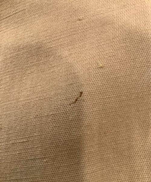 CLANE HOMME（クラネ オム）CLANE HOMME (クラネ オム) オーバーサイズシャツ ブラウン サイズ:1の古着・服飾アイテム