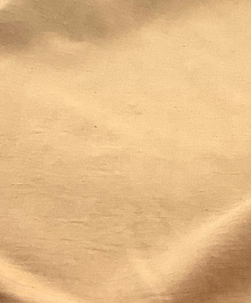 CLANE HOMME（クラネ オム）CLANE HOMME (クラネ オム) オーバーサイズシャツ ブラウン サイズ:1の古着・服飾アイテム