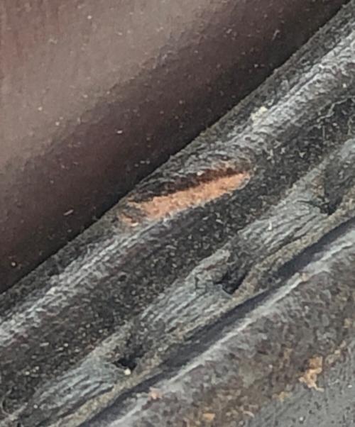 REGAL（リーガル）REGAL (リーガル) ウィングチップシューズ ブラウン サイズ:25　2/1の古着・服飾アイテム