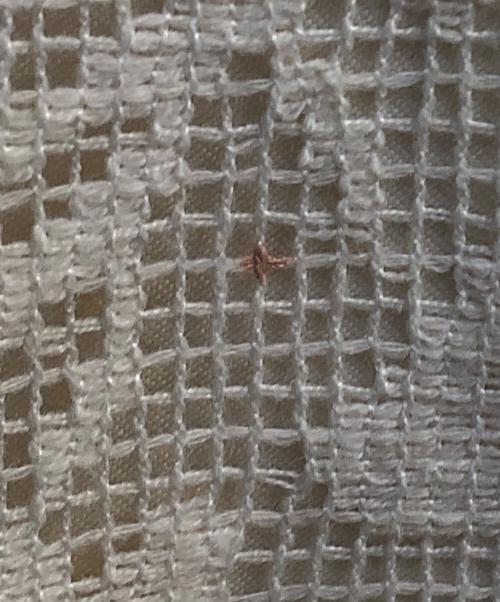 acka（エーシーケーエー）ACKA (エーシーケーエー) ワンピース ベージュ サイズ:2の古着・服飾アイテム