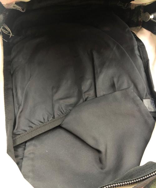 GREGORY（グレゴリー）GREGORY (グレゴリー) リュック グリーン×パープルの古着・服飾アイテム