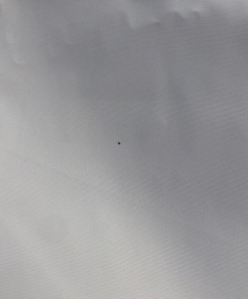 RHC Ron Herman（アールエイチシー ロンハーマン）RHC Ron Herman (アールエイチシー ロンハーマン) コーチジャケット ホワイト サイズ:XLの古着・服飾アイテム