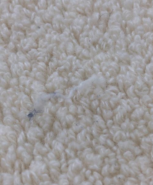 CANADA GOOSE（カナダグース）CANADA GOOSE (カナダグース) フリースジャケット アイボリー サイズ:Lの古着・服飾アイテム