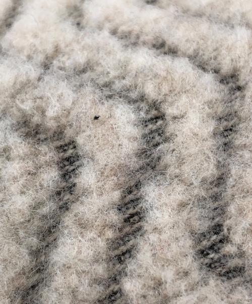 Patagonia（パタゴニア）Patagonia (パタゴニア) リバーシブルフリースベスト サイズ:Mの古着・服飾アイテム