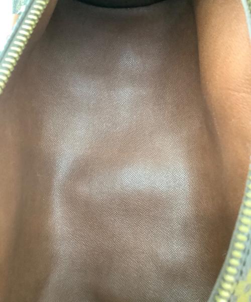 LOUIS VUITTON（ルイ ヴィトン）LOUIS VUITTON (ルイ ヴィトン) ハンドバッグ　パピヨンGMの古着・服飾アイテム