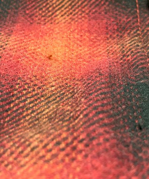 Superdry（スーパードライ）Superdry (スーパードライ) シャツジャケット　MACHINED GOODS レッド サイズ:Sの古着・服飾アイテム