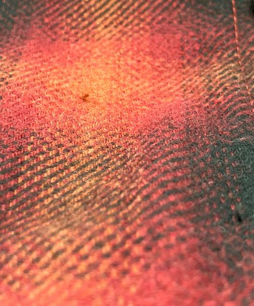 Superdry（スーパードライ）Superdry (スーパードライ) シャツジャケット　MACHINED GOODS レッド サイズ:Sの古着・服飾アイテム