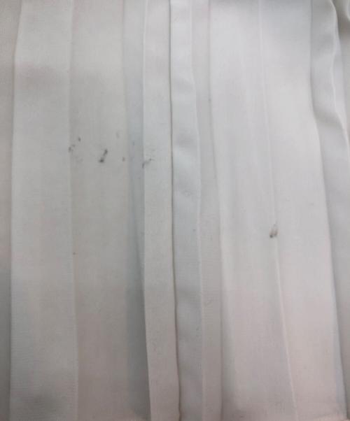 SOEJU（ソージュ）SOEJU (ソージュ) プリーツスカート グレー サイズ:記載なしの古着・服飾アイテム