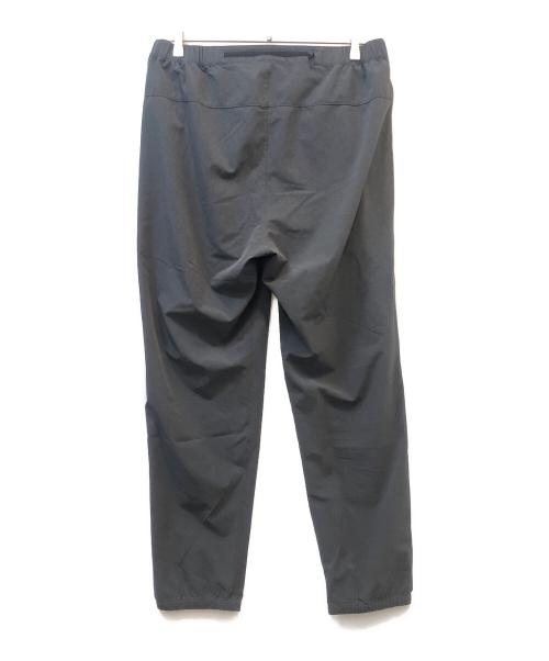 THE NORTH FACE（ザ ノース フェイス）THE NORTH FACE (ザ ノース フェイス) ナイロンパンツ グレー サイズ:XLの古着・服飾アイテム