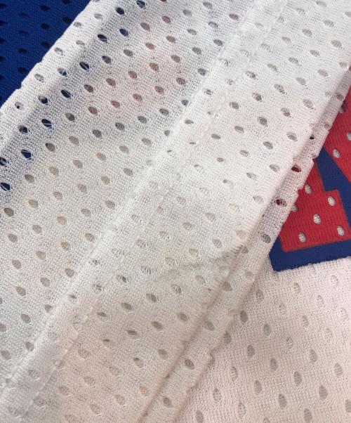 Champion（チャンピオン）Champion (チャンピオン) ホッケーシャツ ホワイト×ブルー サイズ:Ｌの古着・服飾アイテム