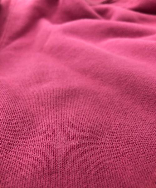 stussy（ステューシー）stussy (ステューシー) プルオーバーパーカー ピンク サイズ:Ｌの古着・服飾アイテム