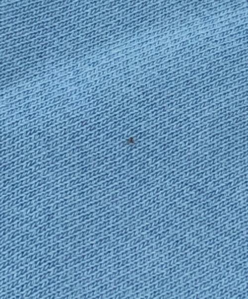maison kitsune（メゾンキツネ）MAISON KITSUNE (メゾンキツネ) スウェット ブルー サイズ:不明の古着・服飾アイテム