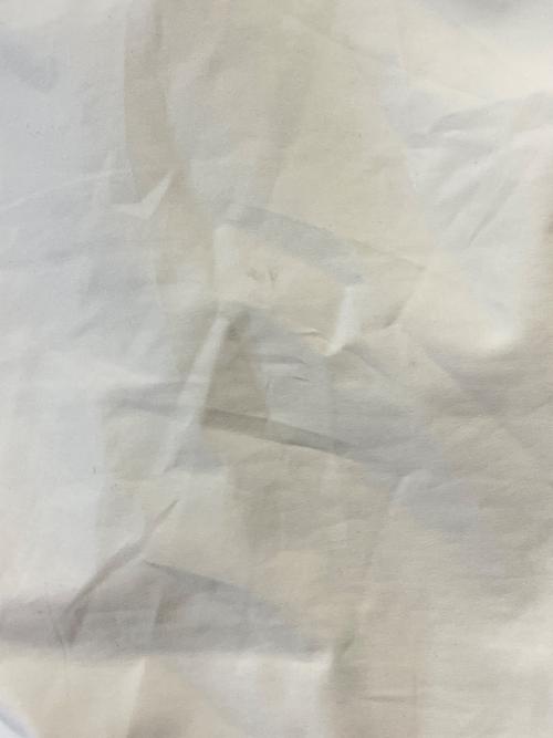 PRADA SPORTS（プラダスポーツ）PRADA SPORTS (プラダスポーツ) ナイロンベスト アイボリー サイズ:46の古着・服飾アイテム