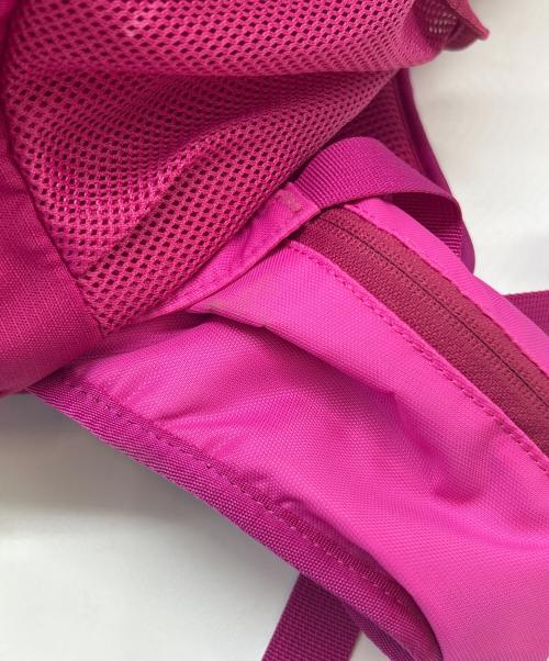 THE NORTH FACE（ザ ノース フェイス）THE NORTH FACE (ザ ノース フェイス) THE NORTH FACE　NM61309　リュック ピンクの古着・服飾アイテム