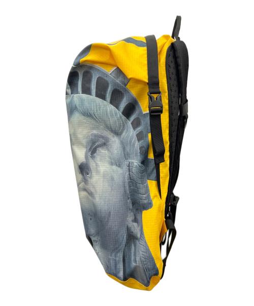 THE NORTH FACE（ザ ノース フェイス）THE NORTH FACE (ザ ノース フェイス) SUPREME (シュプリーム) リュック イエロー×グレーの古着・服飾アイテム