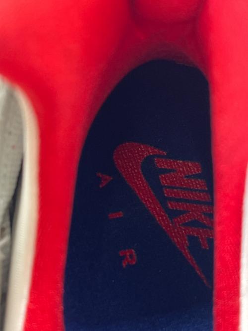 NIKE（ナイキ）NIKE (ナイキ) スニーカー ホワイト×ブルー サイズ:29の古着・服飾アイテム