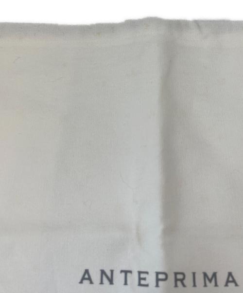 ANTEPRIMA（アンテプリマ）ANTEPRIMA (アンテプリマ) ANTEPRIMA　スクエアラージ　ワイヤーバッグ ホワイトの古着・服飾アイテム