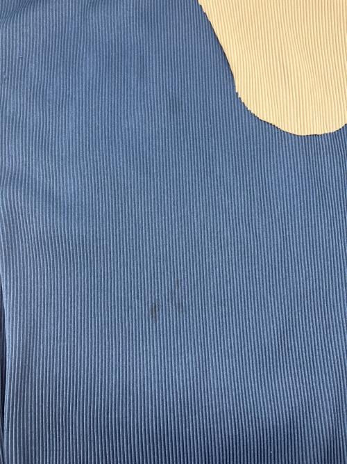 todo kotohayokozawa（トゥードゥー コトハヨコザワ）todo kotohayokozawa (トゥードゥー コトハヨコザワ) todo kotohayokozawa　プリーツワンピース ネイビー サイズ:記載なしの古着・服飾アイテム