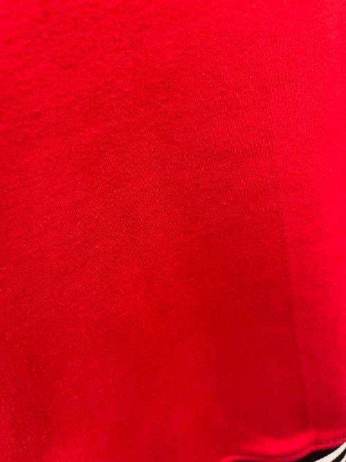 Franklin & Marshall（フランクリン＆マーシャル）Franklin & Marshall (フランクリン＆マーシャル) Franklin & Marshall　スタジャン レッド×ブラック サイズ:MEDIUMの古着・服飾アイテム