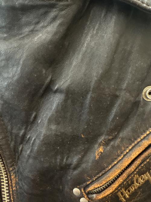 HARLEY-DAVIDSON（ハーレーダビッドソン）HARLEY-DAVIDSON (ハーレーダビッドソン) HARLEY-DAVIDSON　ダブルライダースベスト ブラウン サイズ:Ｍの古着・服飾アイテム