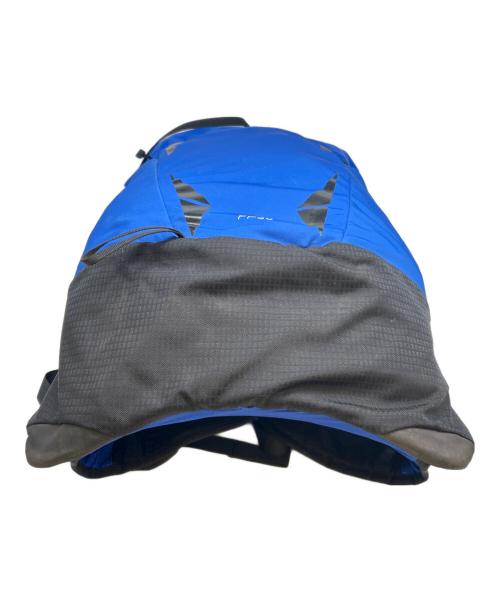 THE NORTH FACE（ザ ノース フェイス）THE NORTH FACE (ザ ノース フェイス) THE NORTH FACE　バックパック ブルーの古着・服飾アイテム