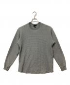 THE NORTH FACEザ ノース フェイス）の古着「ロングスリーブウォームワッフルクルー」｜グレー