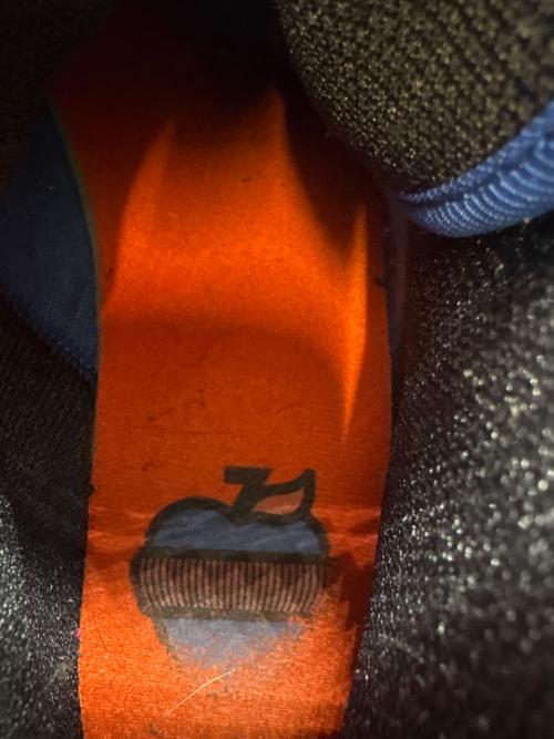 NIKE（ナイキ）NIKE (ナイキ) NIKE Air Jordan 1 Retro High 