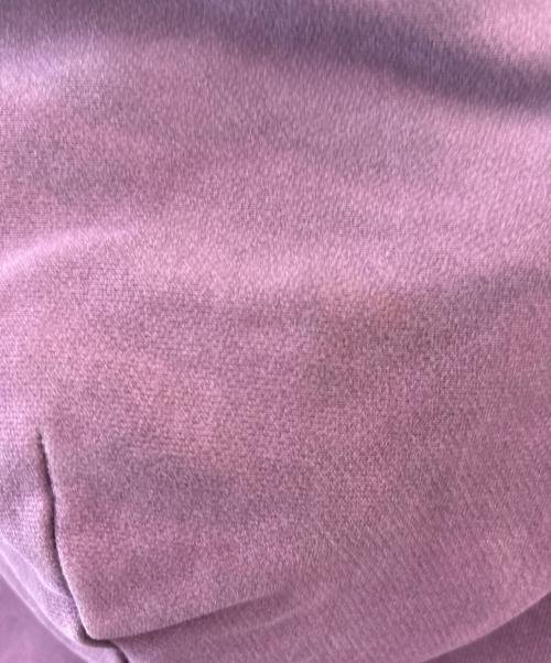 Carhartt WIP（カーハート ワーク イン プログレス）Carhartt WIP (カーハート ワーク イン プログレス) CARHARTT WIP　HOODED VISTA JACKET　パーカージャケット パープル サイズ:Mの古着・服飾アイテム