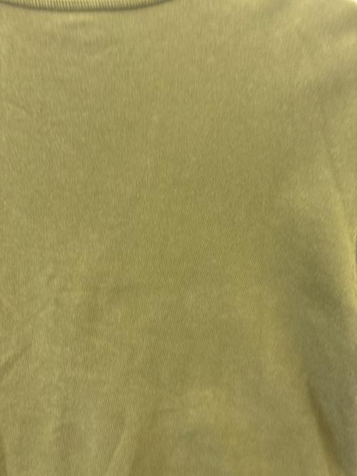 BUZZ RICKSON'S（バズリクソンズ）BUZZ RICKSON'S (バズリクソンズ) Buzz Rickson's　Hell's Angels　半袖スウェット グリーン サイズ:Ｌの古着・服飾アイテム