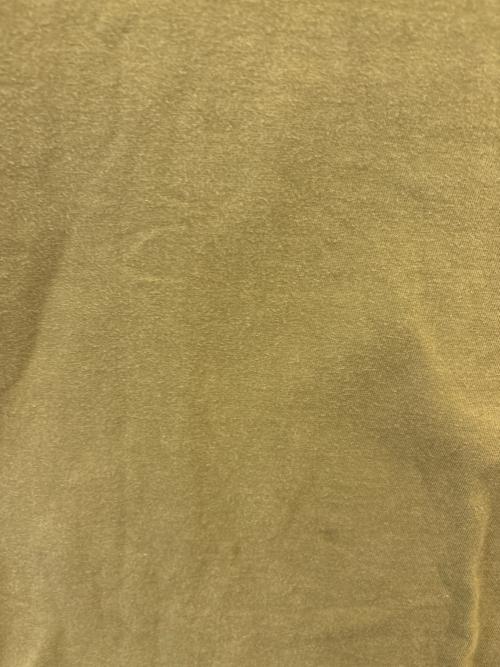 BUZZ RICKSON'S（バズリクソンズ）BUZZ RICKSON'S (バズリクソンズ) Buzz Rickson's 　Tシャツ グリーン サイズ:S(36-38)の古着・服飾アイテム