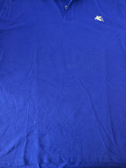 ETRO（エトロ）ETRO (エトロ) ポロシャツETRO   ブルー サイズ:XLの古着・服飾アイテム