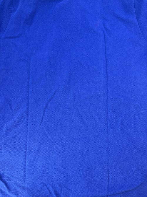 ETRO（エトロ）ETRO (エトロ) ポロシャツETRO   ブルー サイズ:XLの古着・服飾アイテム