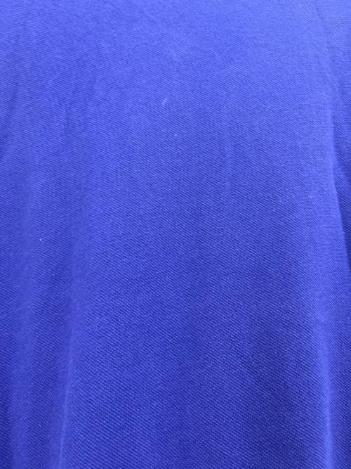 ETRO（エトロ）ETRO (エトロ) ポロシャツETRO   ブルー サイズ:XLの古着・服飾アイテム