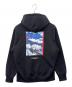 THE NORTH FACE (ザ ノース フェイス) THE NORTH FACE　30th ヌプシスウェットフーディ　プルオーバーパーカー ブラック サイズ:XL：8000円