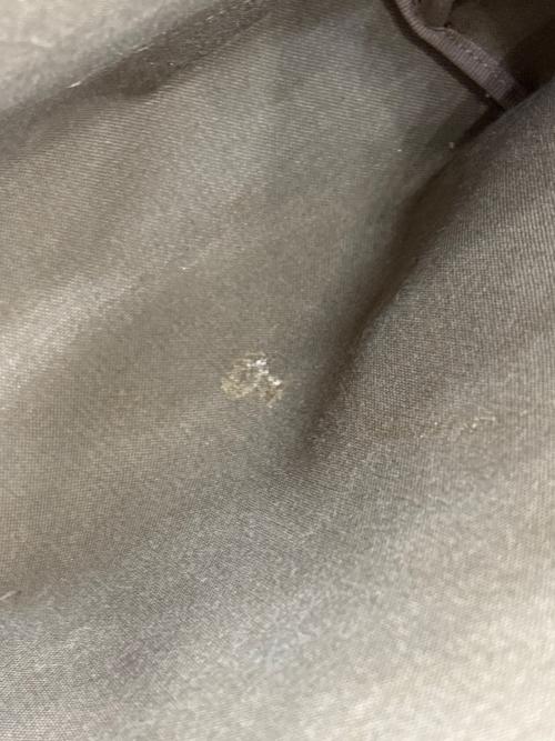 GUCCI（グッチ）GUCCI (グッチ) GUCCI　OLD GUCCI GGスプリーム　トートバッグ ベージュの古着・服飾アイテム